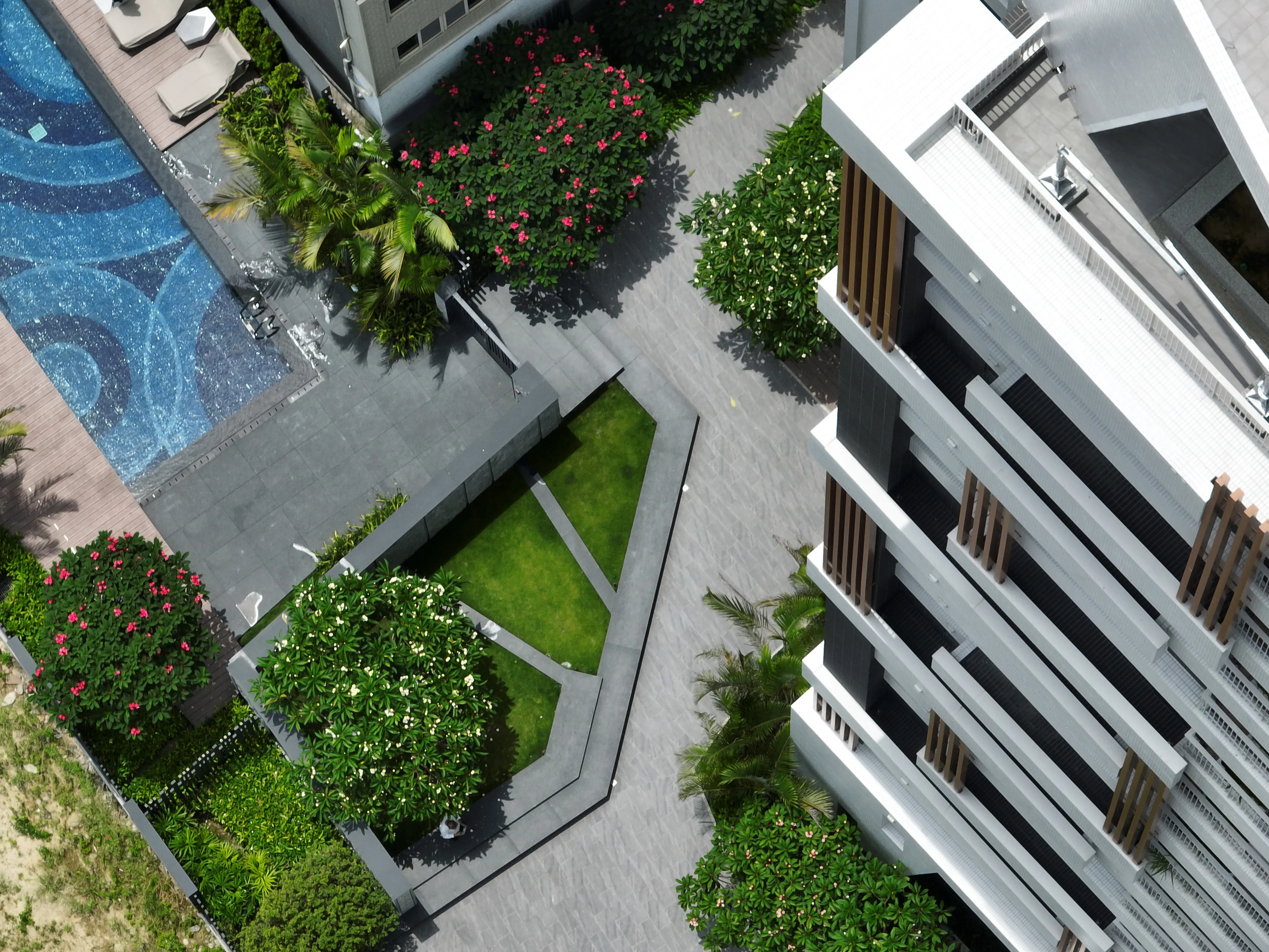 大松林裡  完工實景